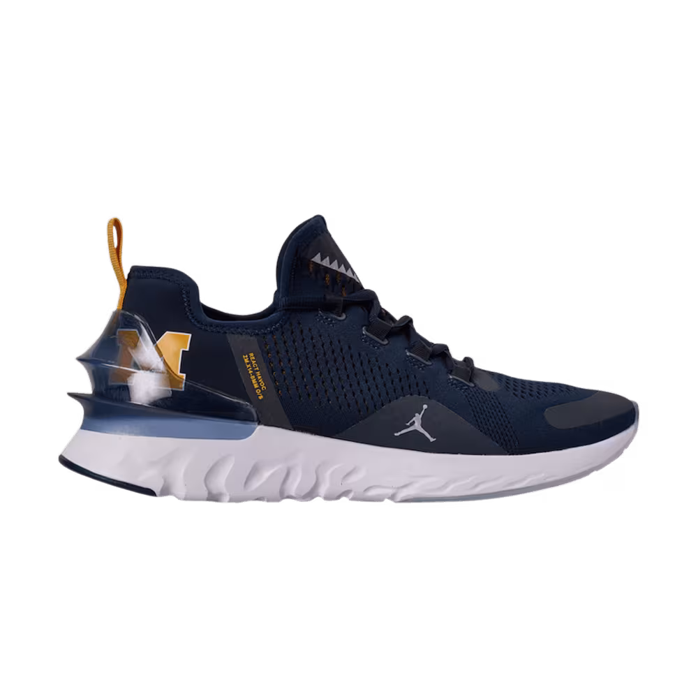 Air Jordan React Havoc Michigan Wolverines