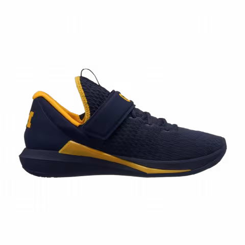 Air Jordan Trainer 3 'Michigan Wolverines'