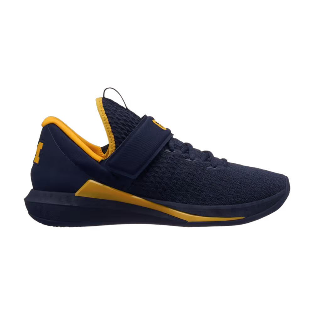 Air Jordan Trainer 3 Michigan Wolverines