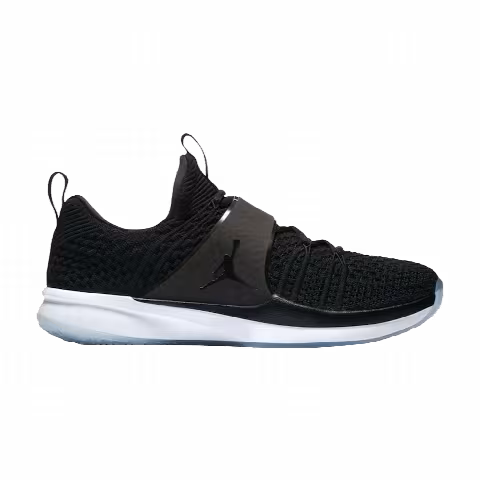 Air Jordan Trainer 2 Flyknit 'Black Ice'