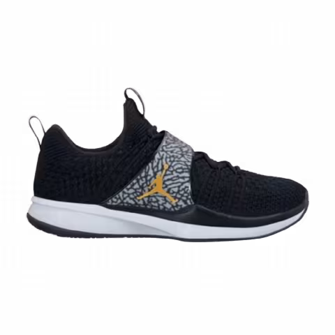 Air Jordan Trainer 2 Flyknit 'Black Metallic Gold'