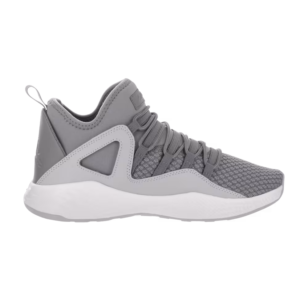 Air Jordan Formula 23 BG Cool Grey