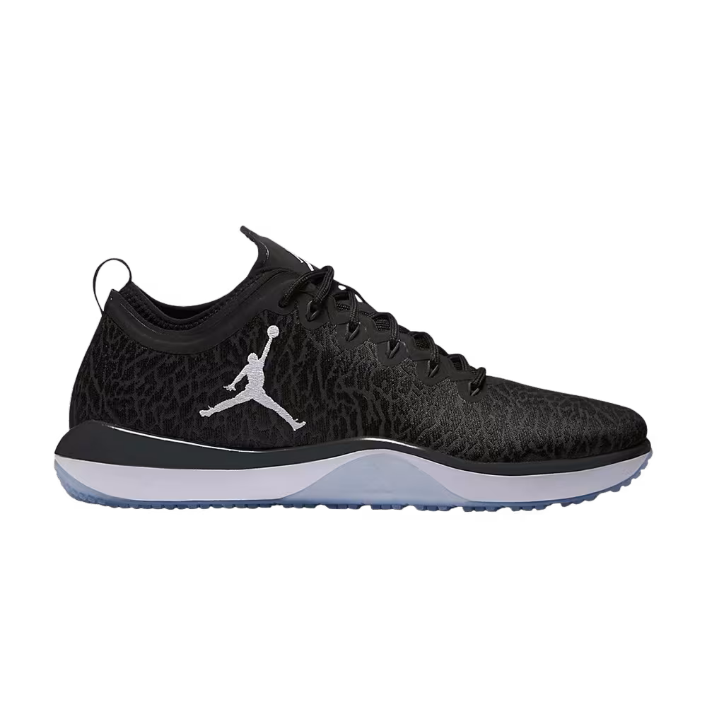 Air Jordan Trainer 1 Low Anthracite