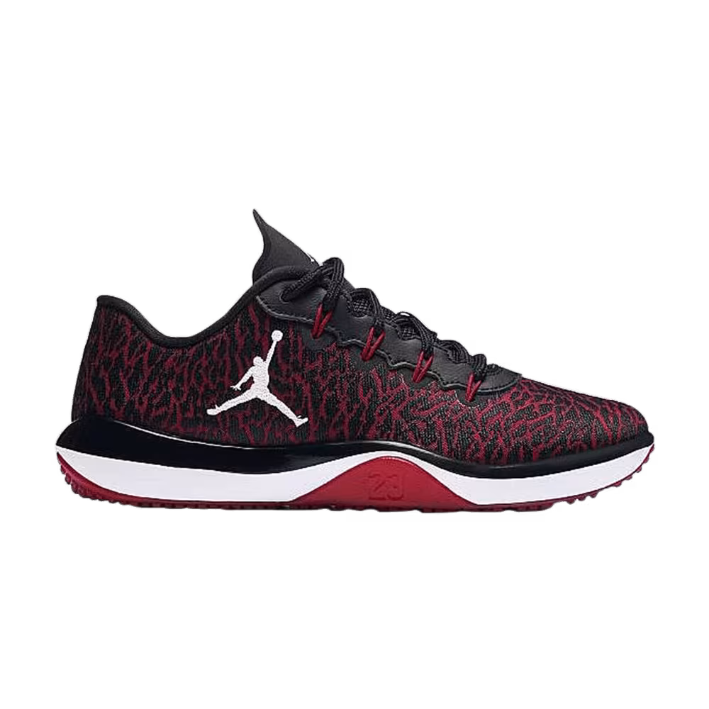 Air Jordan Trainer 1 GS Banned