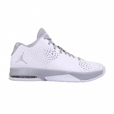 Air Jordan 5 AM 'White Wolf Grey'