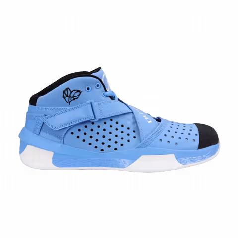 Air Jordan 2010 Outdoor 'For the Love of the Game'