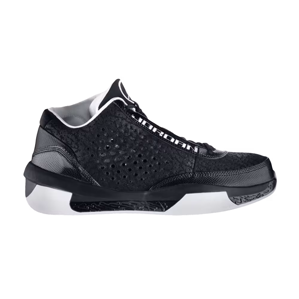 Air Jordan 2010 Team Black
