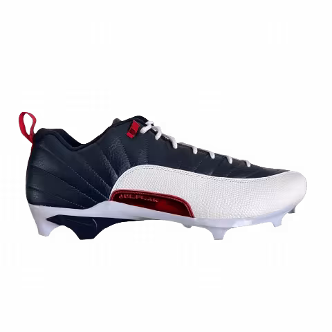 Air Jordan 12 Low Alpha Menace 'Howard' PE