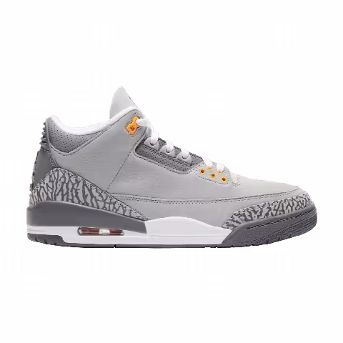 Air Jordan 3 Retro 'Cool Grey' 2021 Sample