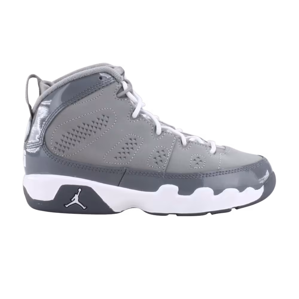 Air Jordan 9 PS Cool Grey