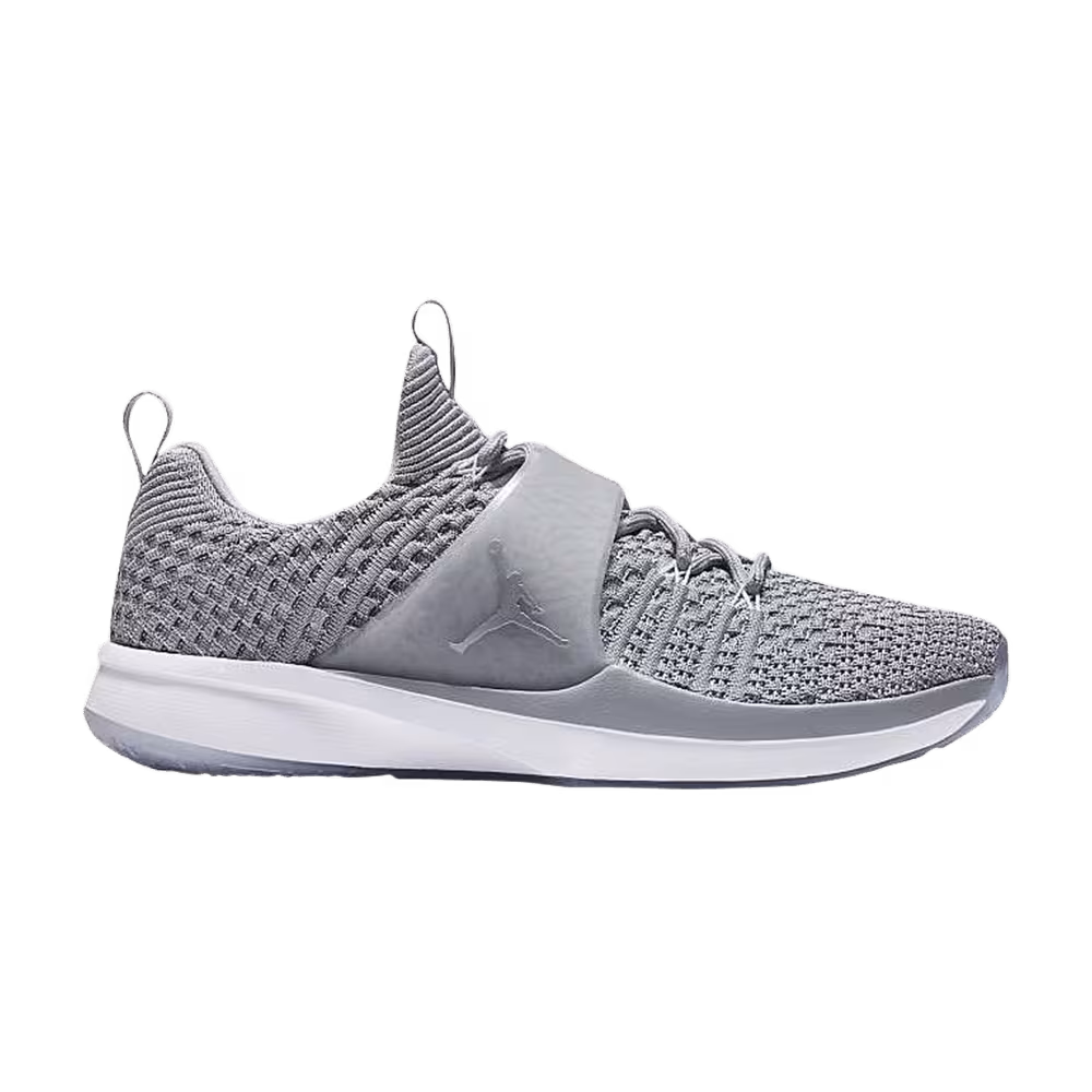 Air Jordan Trainer 2 Flyknit Wolf Grey