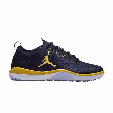 Air Jordan Trainer 1 Low 'Michigan Woverines'