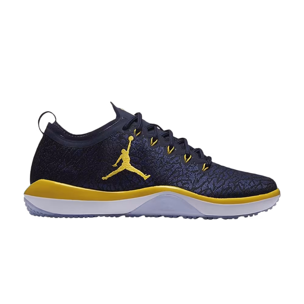 Air Jordan Trainer 1 Low Michigan Woverines