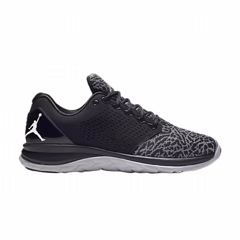 Air Jordan Trainer ST 'Black Wolf Grey'