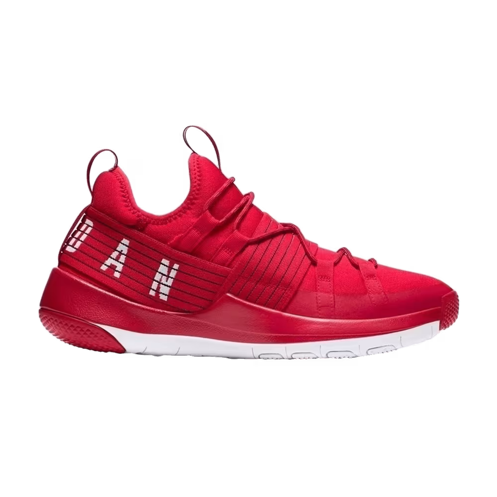 Air Jordan Trainer Pro Gym Red