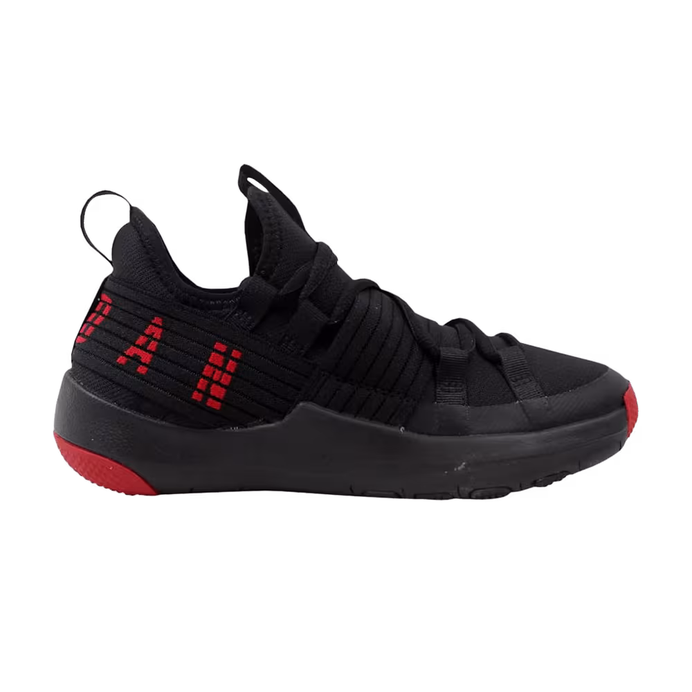 Air Jordan Trainer Pro BG Black Gym Red
