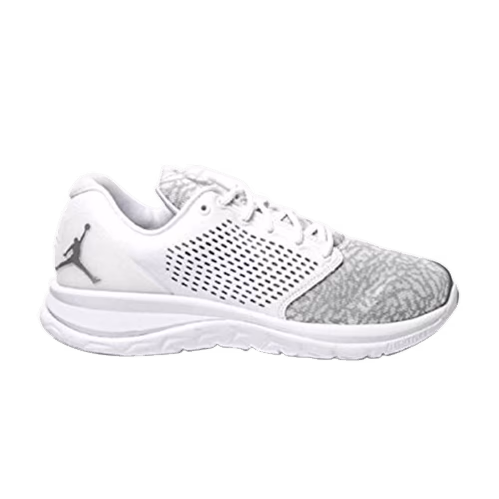 Air Jordan Trainer ST Metallic Silver