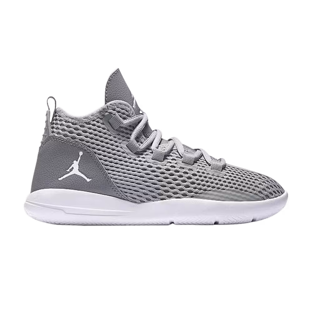 Air Jordan Reveal GS