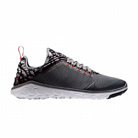 Air Jordan Flight Flex Trainer 'Cool Grey Pure Platinum'