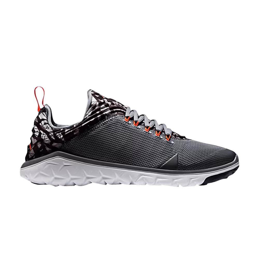 Air Jordan Flight Flex Trainer Cool Grey Pure Platinum