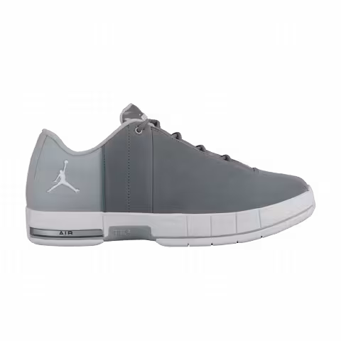 Air Jordan TE 2 Low 'Cool Grey'