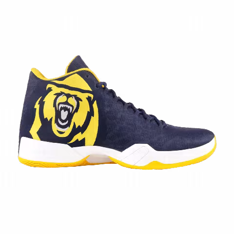 Air Jordan 29 'CAL Golden Bears' PE