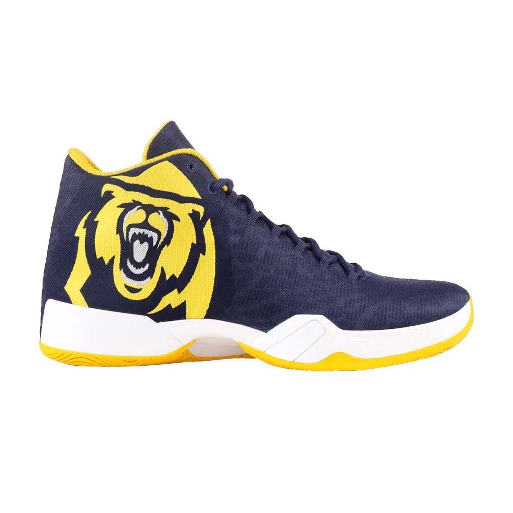 Air Jordan 29 CAL Golden Bears