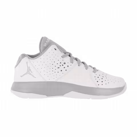 Air Jordan 5 AM GS
