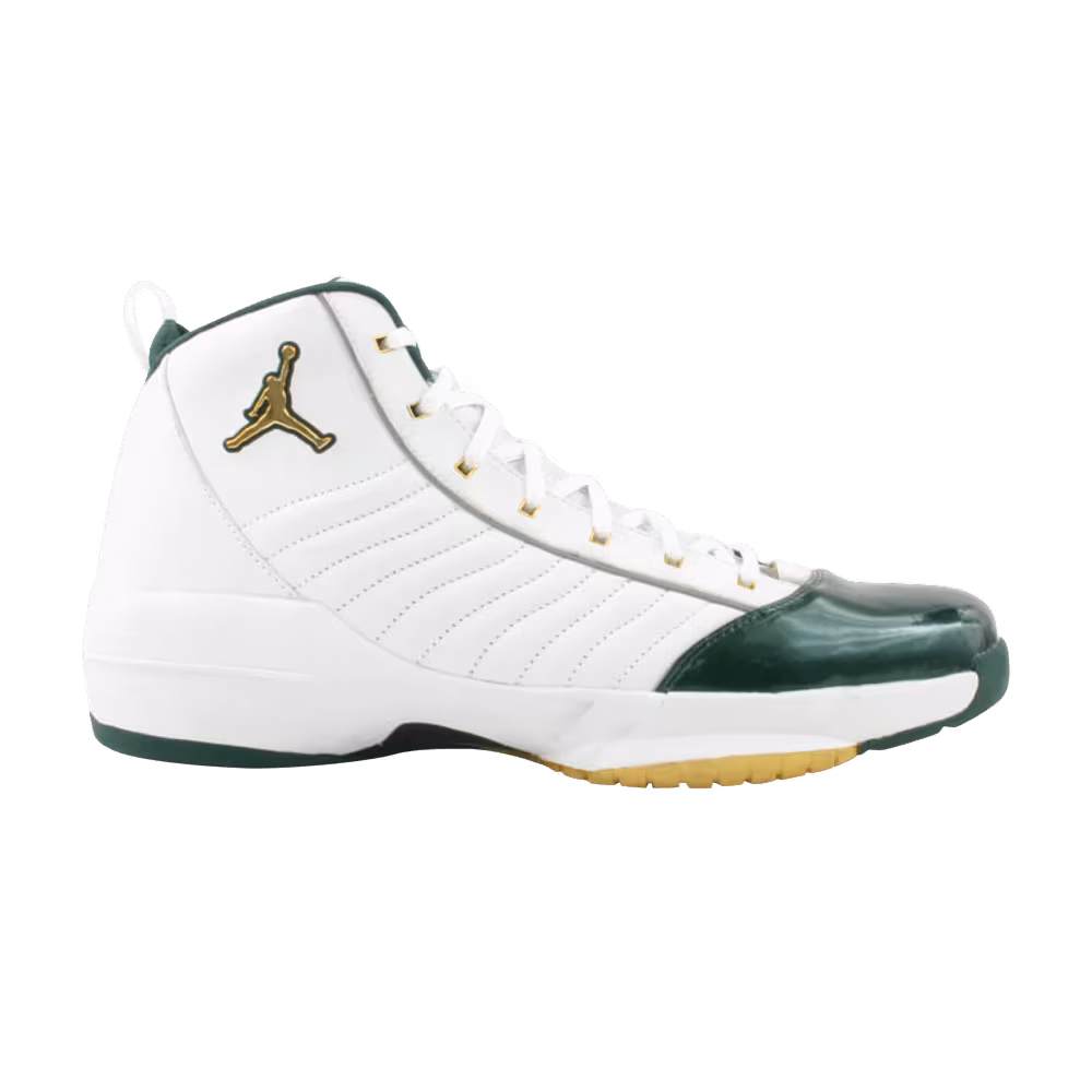 Air Jordan 19 SE Ray Allen
