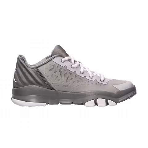 Air Jordan Dominate Pro 2 BG