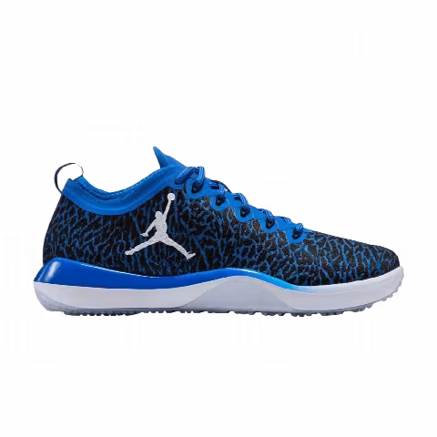 Air Jordan Trainer 1 Low