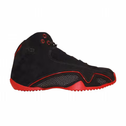 Air Jordan 21
