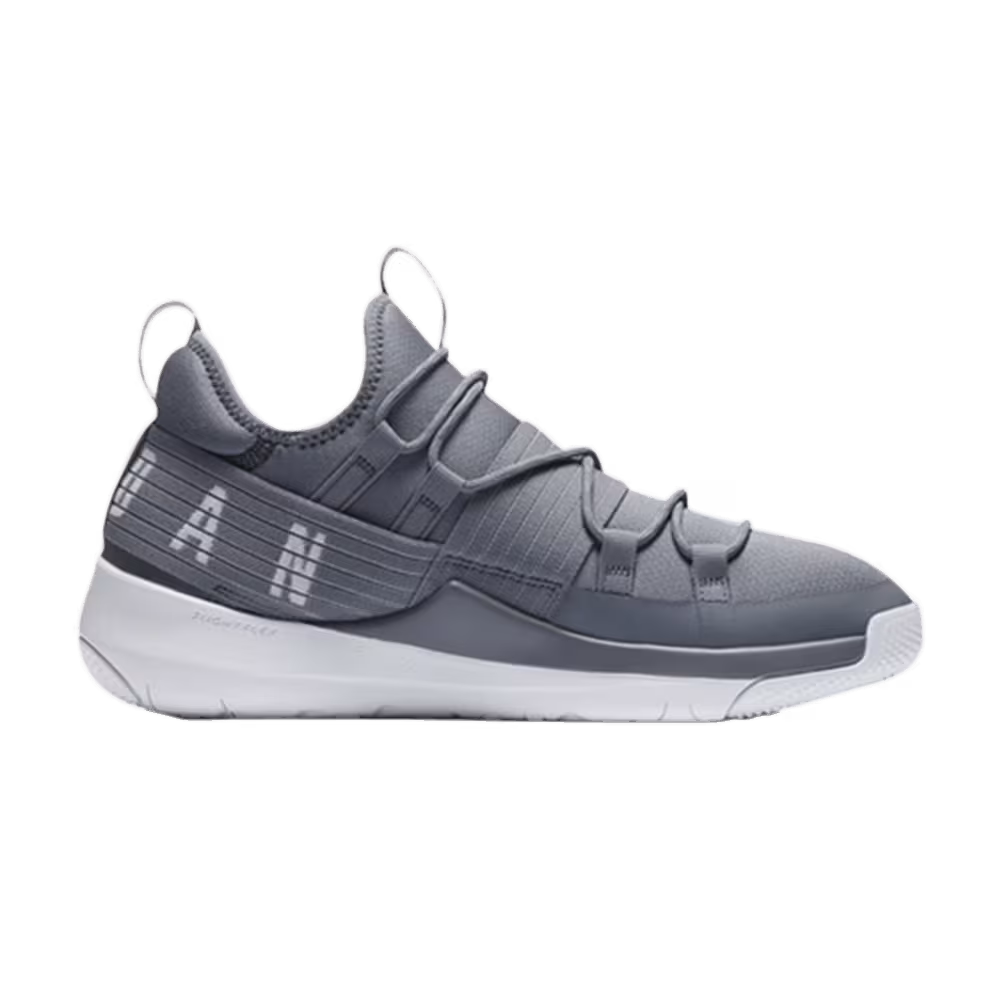 Air Jordan Trainer Pro