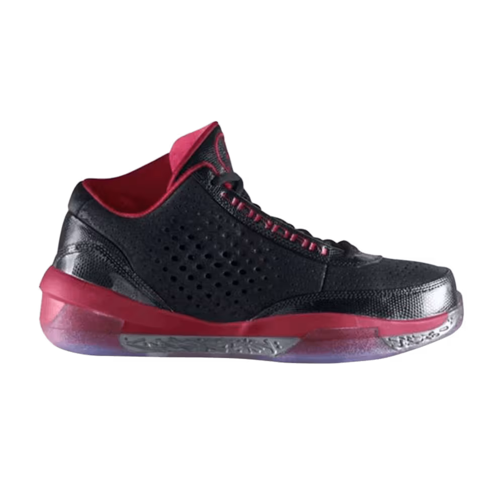 Air Jordan 2010 Team Bred