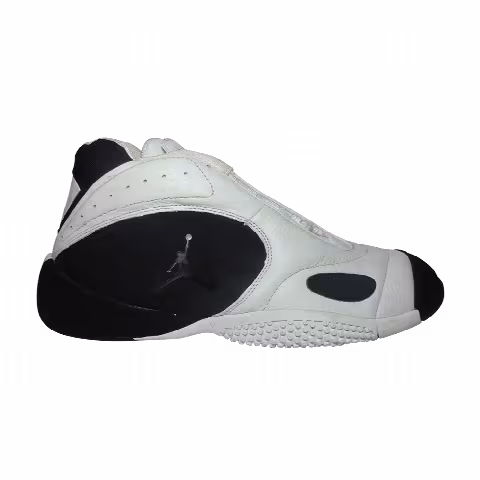 Air Jordan Mossified