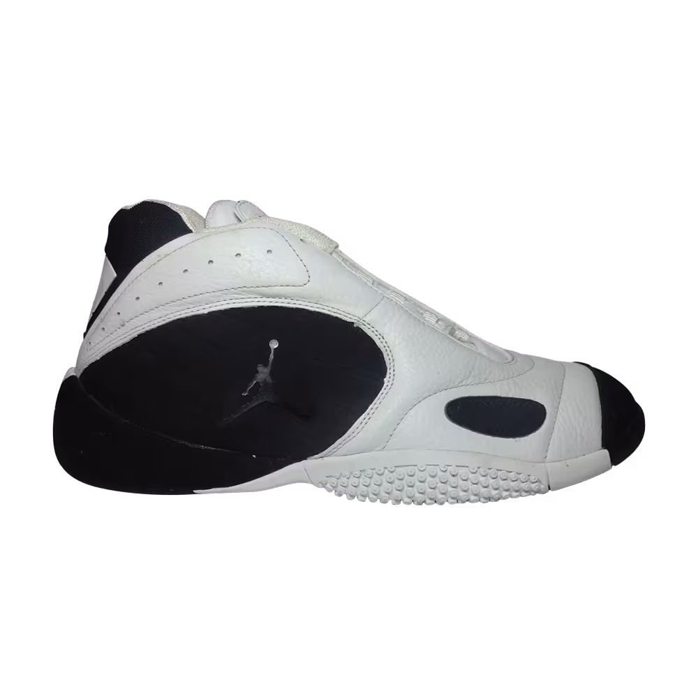 Air Jordan Mossified