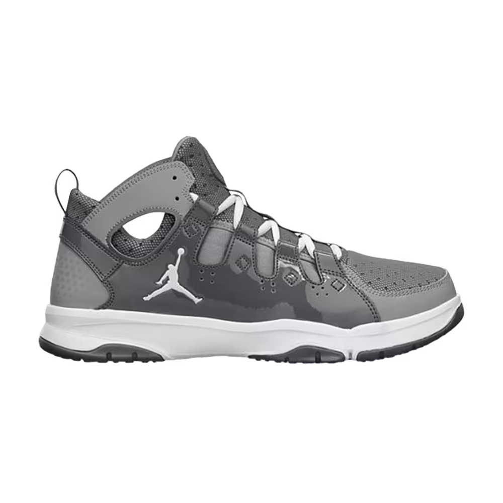 Air Jordan Legend TR Stealth