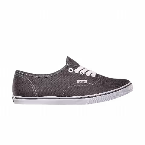 Vans Authentic Pro 'Pewter'