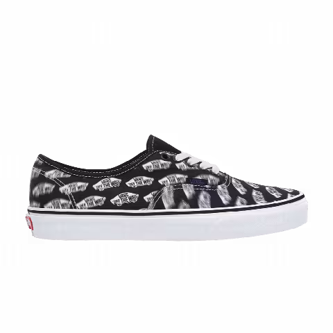 Vans Authentic Big Kids 'Blur Boards'