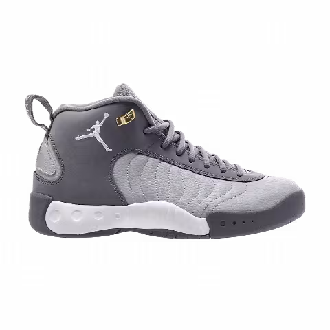 Air Jordan Jumpman Pro 'Cool Grey'