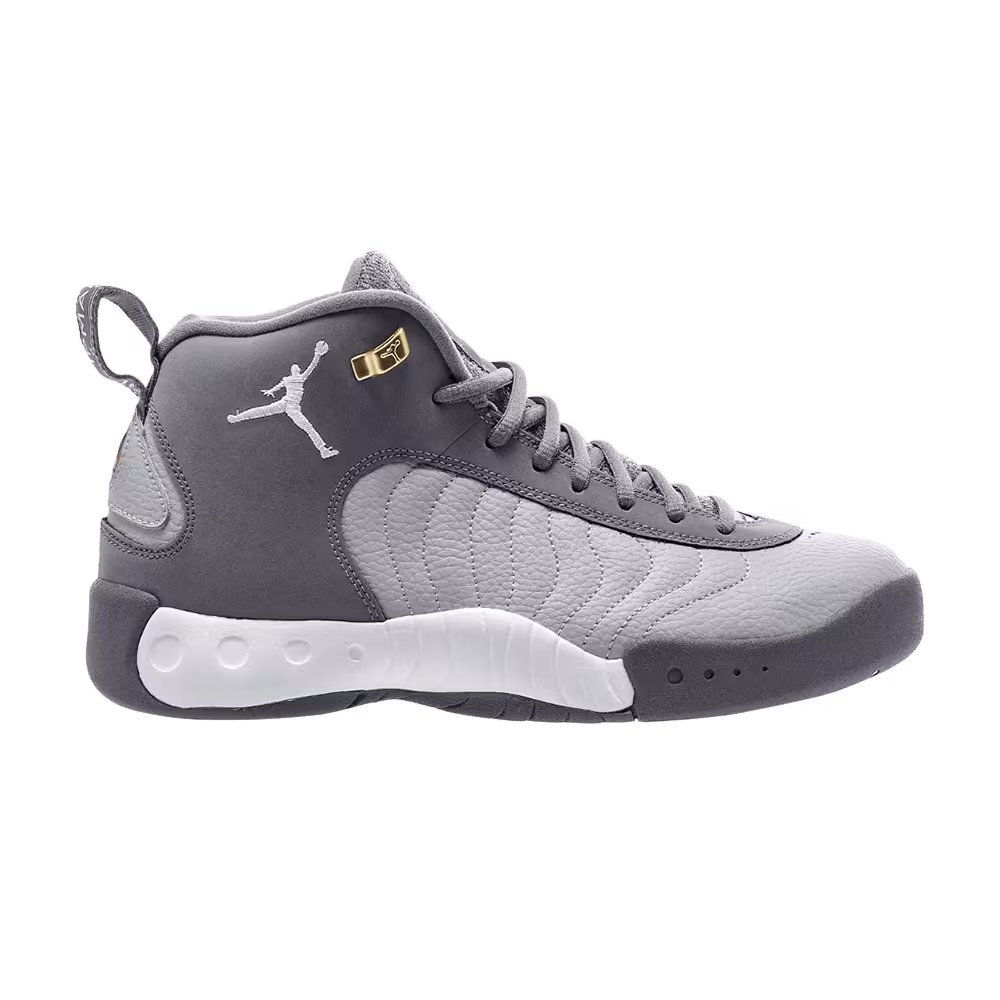 Air Jordan Jumpman Pro Cool Grey