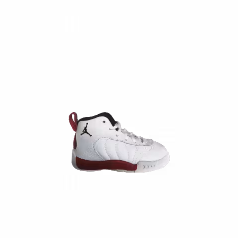 Air Jordan Jumpman Pro BT