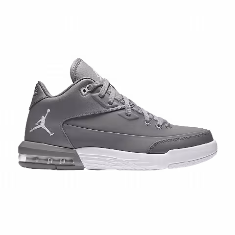 Air Jordan Flight Origin 3 'Cool Grey'