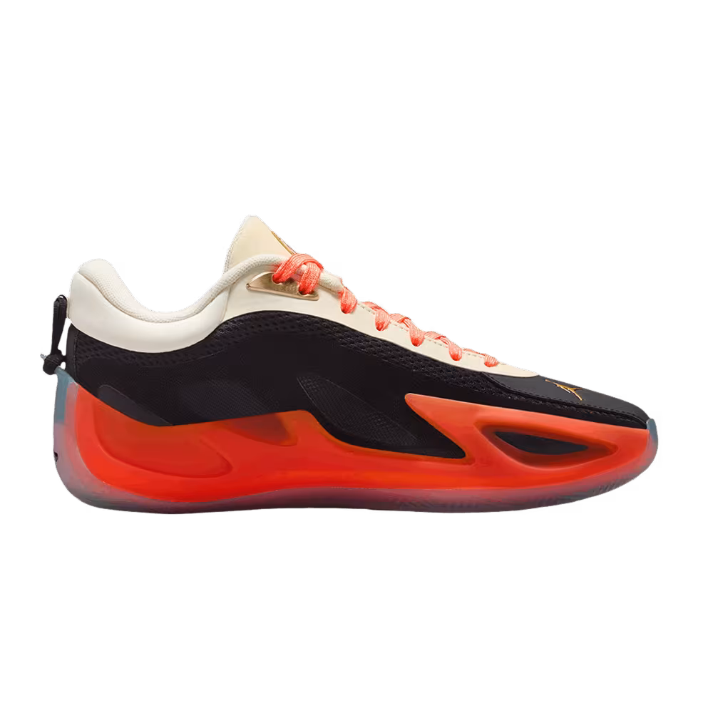 Air Jordan Women's Heir Series 2 WNBA - Birds of Paradise
