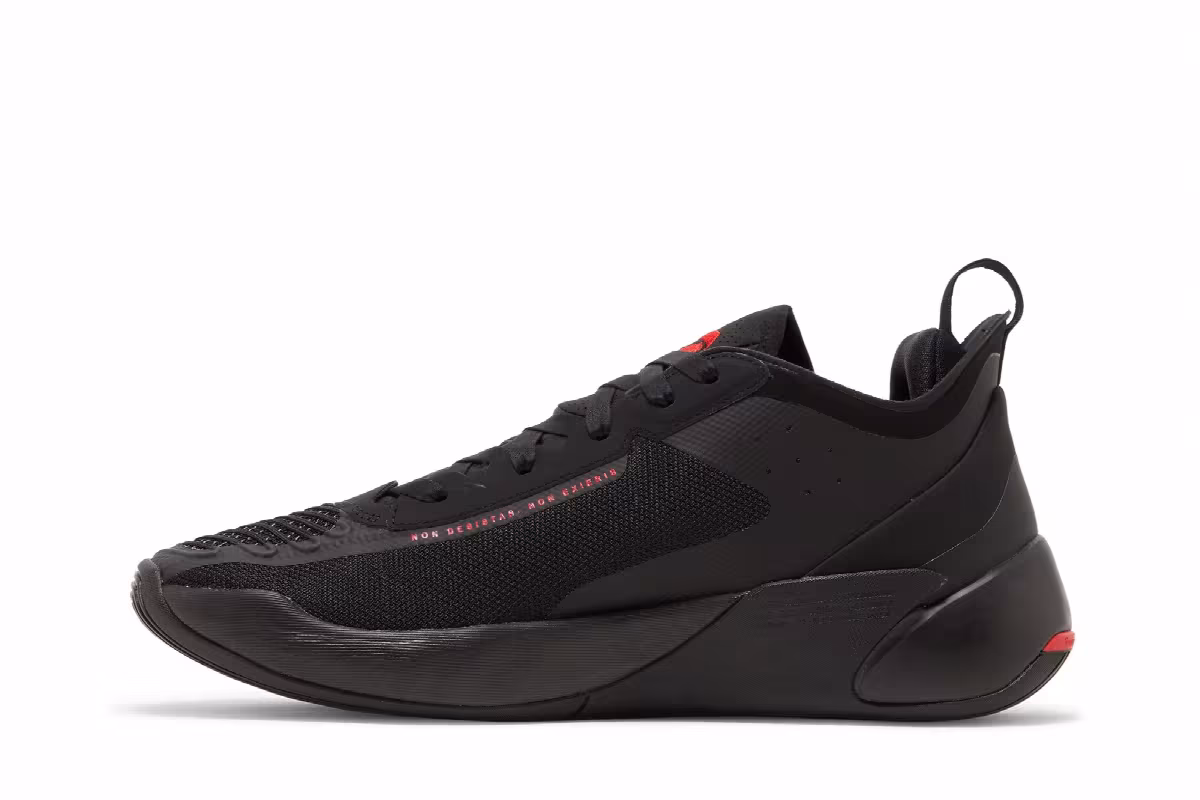 Air Jordan Luka 1 PF Bred, view 4