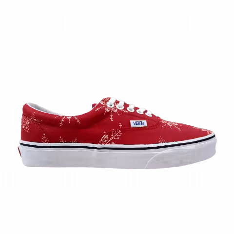 Vans Era 'Van Doren - Skull Snowflake'