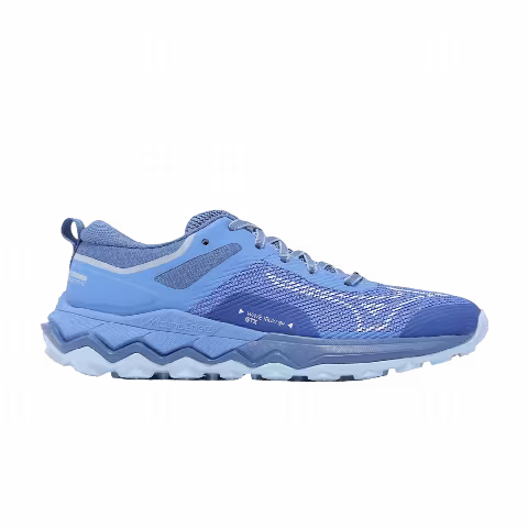 Mizuno Wmns Wave Ibuki 4 GORE-TEX 'Marina'