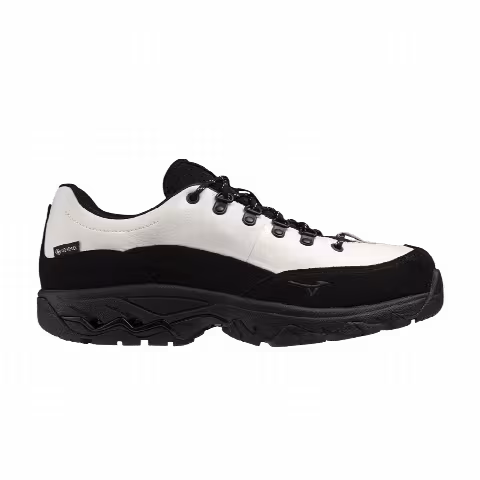 Mizuno Wave OD GORE-TEX 'White Black'