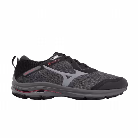 Mizuno Wave Rider GORE-TEX 2E Wide 'Iron Gate Bittersweet'