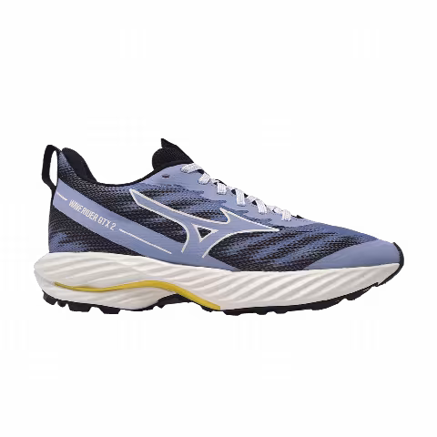 Mizuno Wmns Wave Rider GORE-TEX 2 'Blue Black'